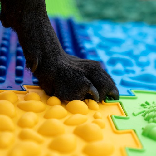 Сенсорний масажний килимок для собак Пазл "Puzzle Mix" 18 модулів Фізіотерапія для собак Сенсорний масажний килимок для собак Пазл "Puzzle Mix" 18 модулів Фізіотерапія для собак